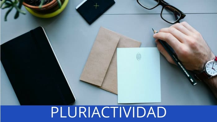 pluriactividad