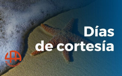 Días de cortesía en las notificaciones: ¿Has avisado a Hacienda de que te vas de vacaciones?