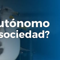 Ser autonomo o sociedad