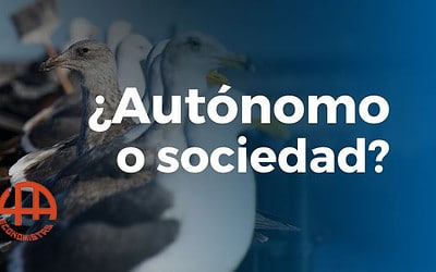 Emprender como autónomo o sociedad